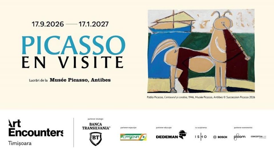 Picasso