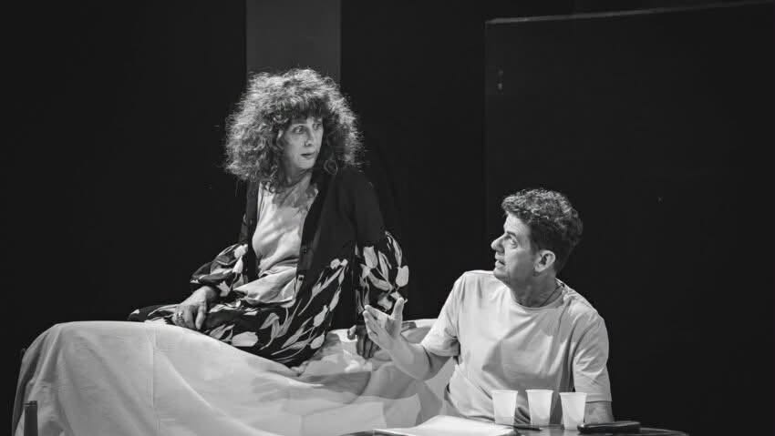 PROGRAM | Unde ieşim în săptămâna 13-19 iulie. O avanpremieră încheie stagiunea la Teatrul Nottara