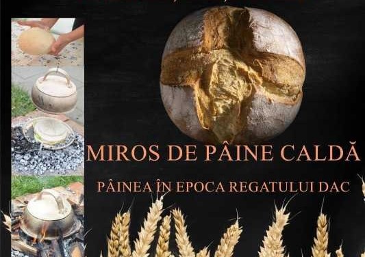 Cum se făcea pâinea pe vremea dacilor: expoziție nouă la Muzeul Județean Vâlcea